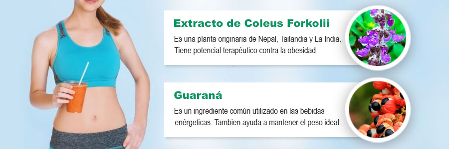 Extracto de Coleus Forkolii-Guaraná