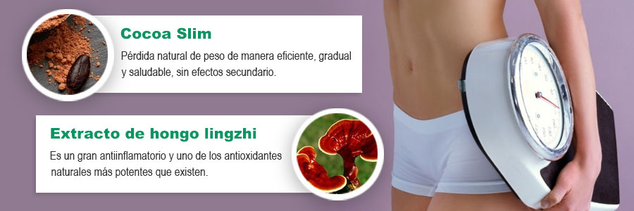 cocoa slim y extracto de hongo lingzhi