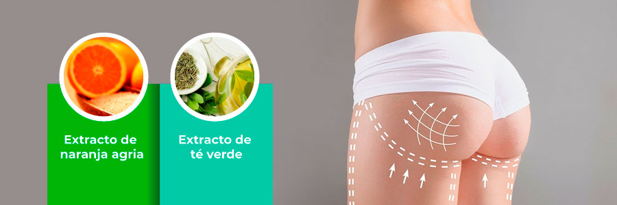 Ingredientes de las cápsulas Personal Slim