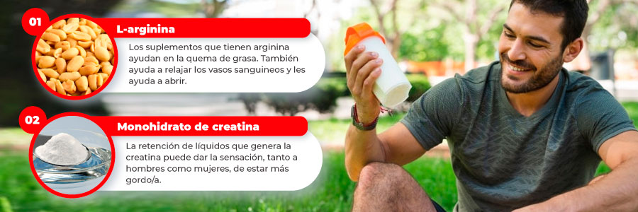 L-arginina, Monohidrato de creatina son Ingredientes de Provitalan