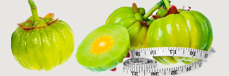 Garcinia Cambogia es la más usada para estimular la pérdida de peso