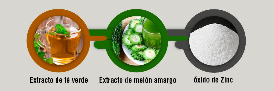 Ingredientes y composición Lipograsil Slim Forte
