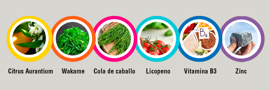 Ingredientes y composición de Lipograsil 15 Días Choque