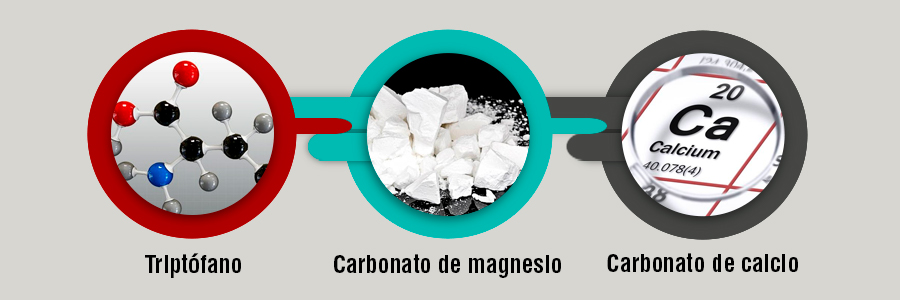 la pastilla Lipograsil Slim Forte contiene los siguientes Ingredientes y composición 