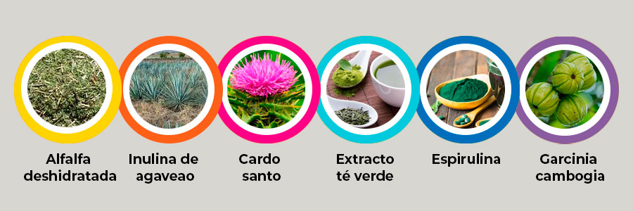 Ingredientes y composición de Fortikux